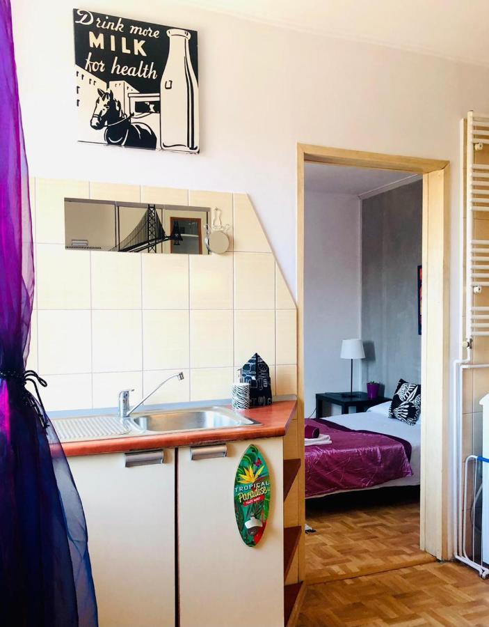 Mieszkanie W Srodmiesciu Blisko Rynku Wałbrzych Buitenkant foto