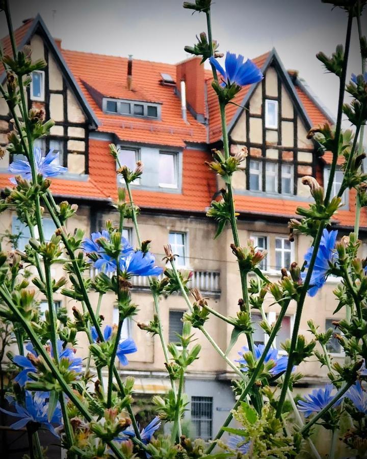 Mieszkanie W Srodmiesciu Blisko Rynku Wałbrzych Buitenkant foto